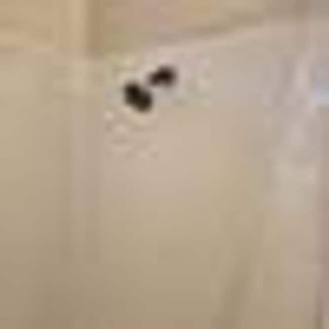 Photo - On cul de sac