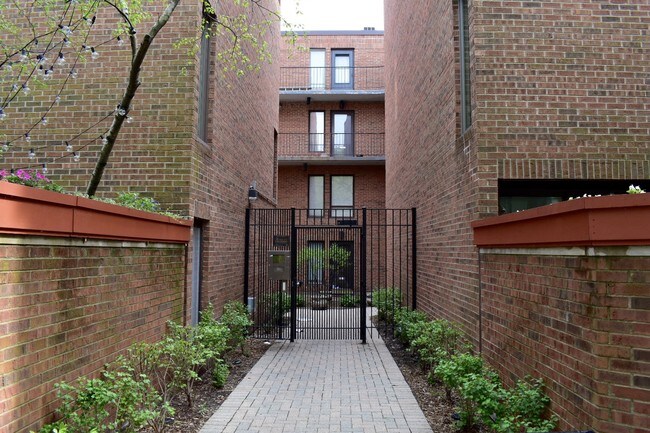 248 Lincoln Park Chicago Il Apartments For Rent With Luxury