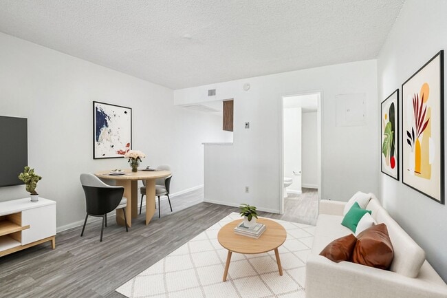 Photo - Aster on University