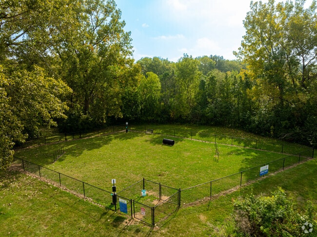 Dog Park