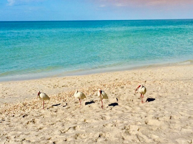 Photo - 11 Bluebill Ave Unit 704