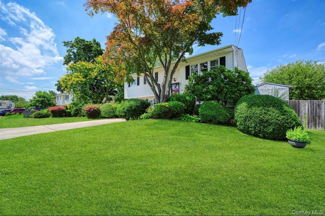 Photo - 27 Douglass St