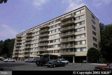 5353 Columbia Pike Unidad 509