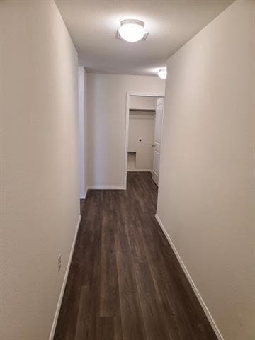 Photo - 4009 Renee Dr