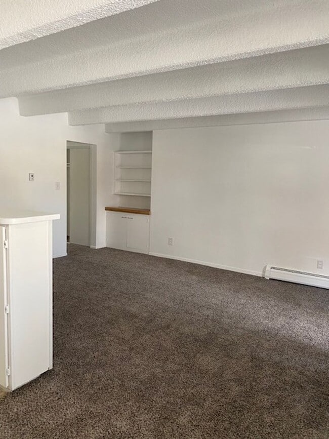 Photo - Newly remodeled 1-bedroom apartment near DU Unit 105