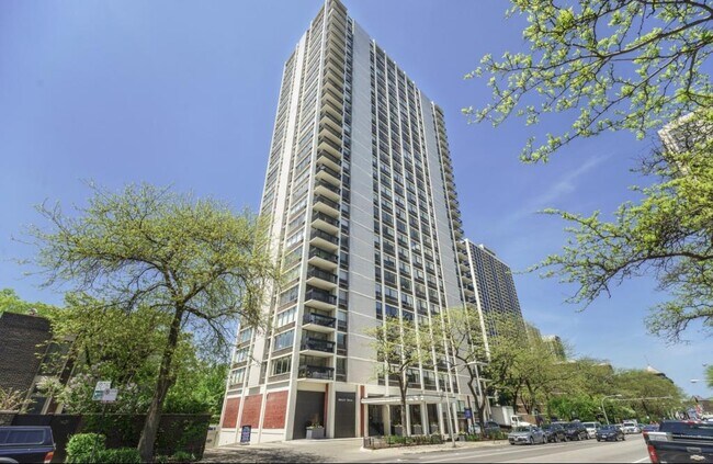 Building Photo - 1455 N Sandburg Terrace Unit 404