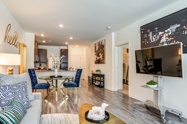 Photo - Allure Apollo