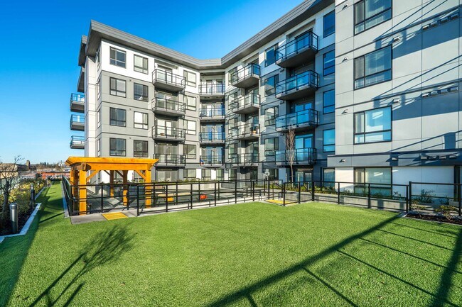 Building and Pet Area