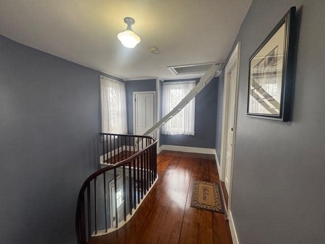 Photo - 52 Manning St