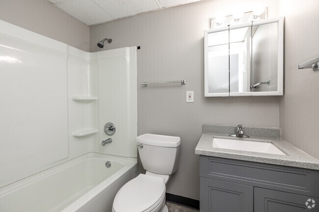 1BR, 1BA - 500 SF - Bathroom
