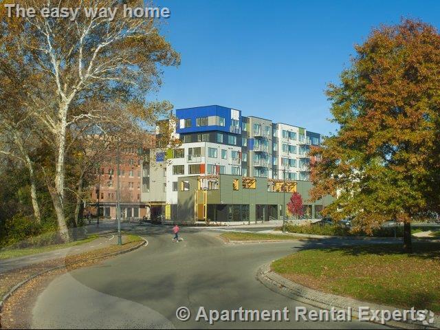 Building Photo - 603 Concord Ave Unit #411 Rental