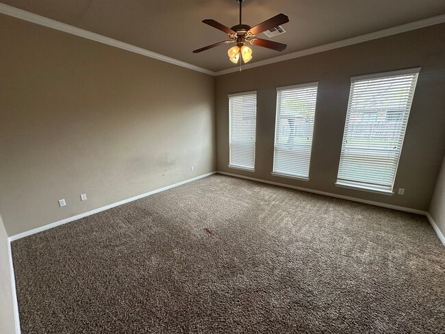 Photo - AVAILABLE FOR VIEWING NOW!!!