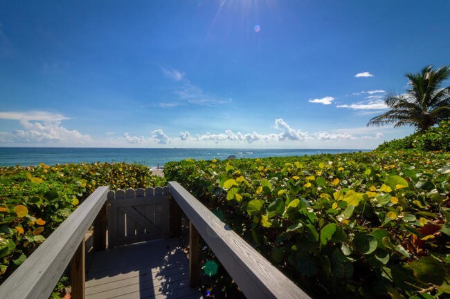 Catwalk to Beach - 370 Mercury Rd