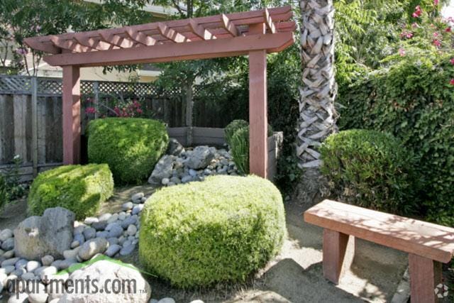 Recreation Area
