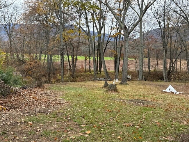 Back Yard - 4387 NY-32