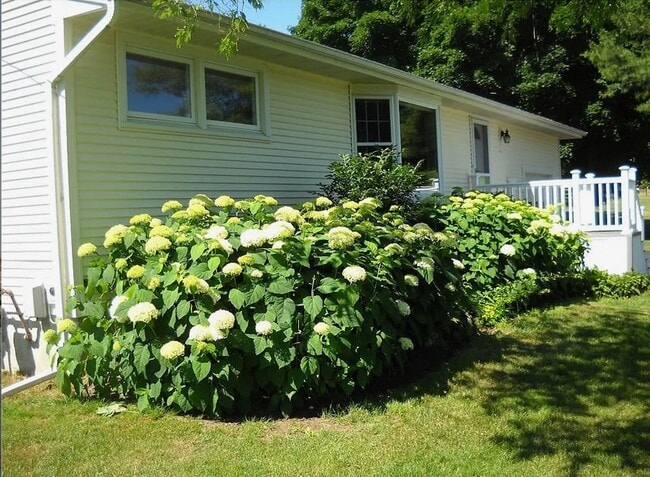 Building Photo - 4198 Howlett Hill Rd Rental
