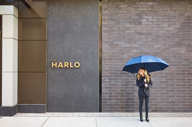 Building Photo - The Harlo