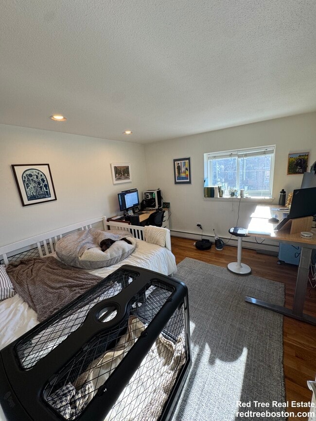 Photo - 15 Euston Rd Unit #19