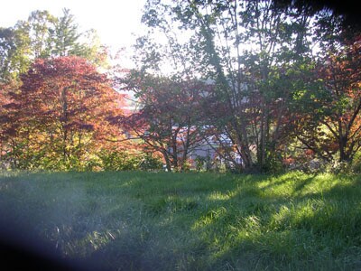 Photo - Nice Brick Ranch-Style House located across from Lowes in Sylva- 3BD/2BA $1800 a month available ...
