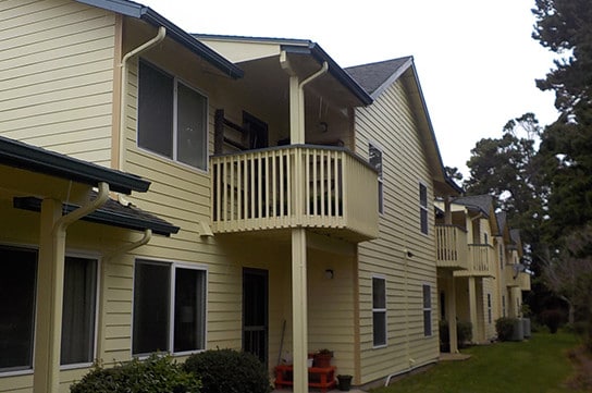 Pacific Pines - Pacific Pines