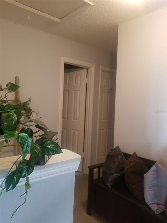 Photo - 1610 Little River Dr