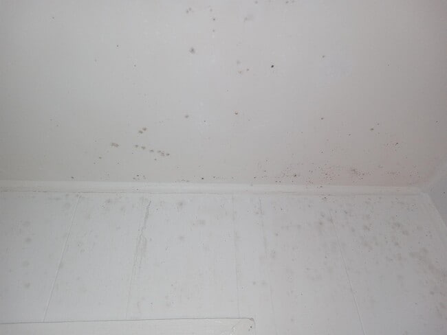 Building Photo - 83 Chem. du Pouvoir