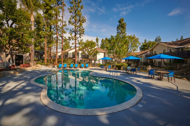Sycamore Springs