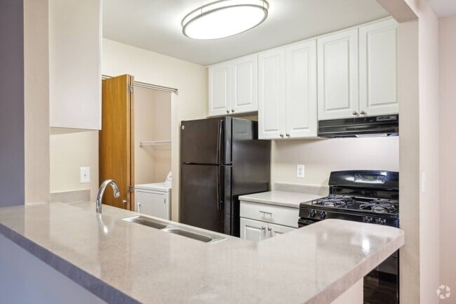 Building Photo - Turtle Cove Rental