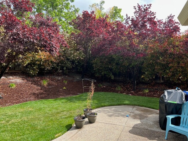 Photo - 7311 Briza Loop