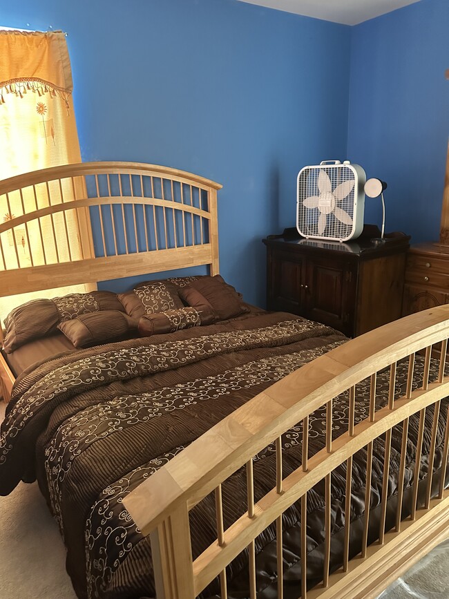 Photo - 5 Tree Hollow Dr