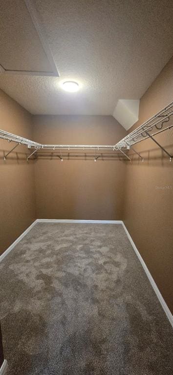 Photo - 1 Pecan Course Ct