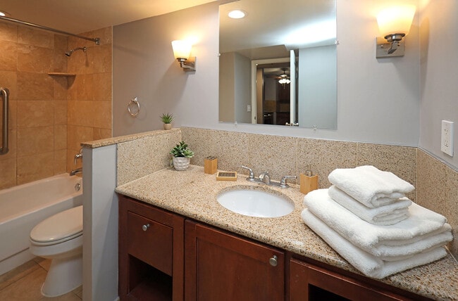 Newly Renovated Model Suite - Bathroom