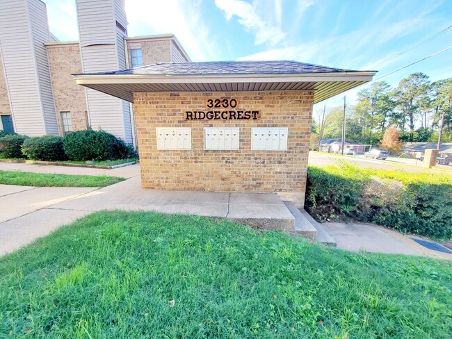 Ridgecrest Condo - Ridgecrest Condo Unit Ridgecrest Condo #14