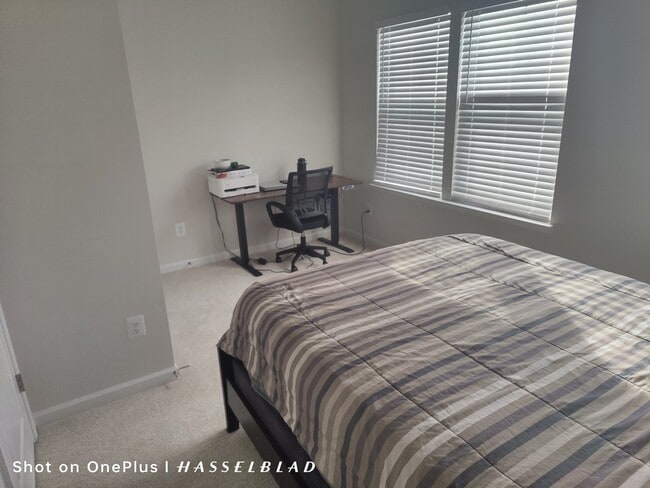 Photo - 3418 Chester Aly