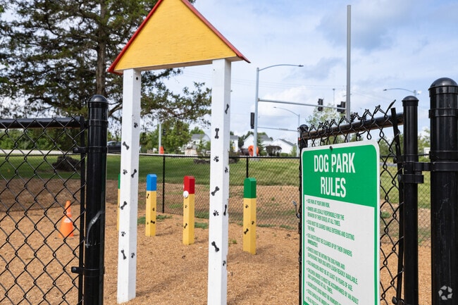 Dog Park