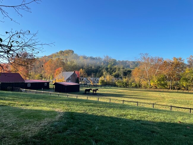 Photo - 3899 Augusta Minerva Rd