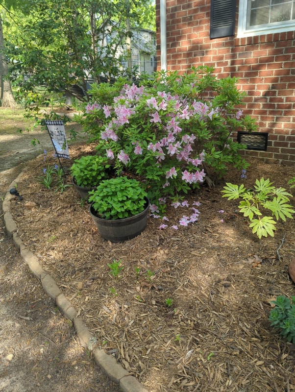 Photo - 114 Wythe Cir