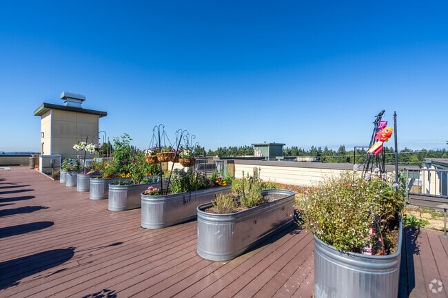 Azotea - Interurban Senior Living Apartments