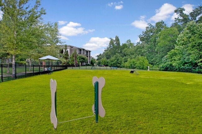 On-site Dog Park