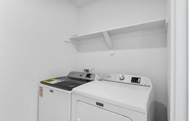 Photo - Shared Bathroom Room 3