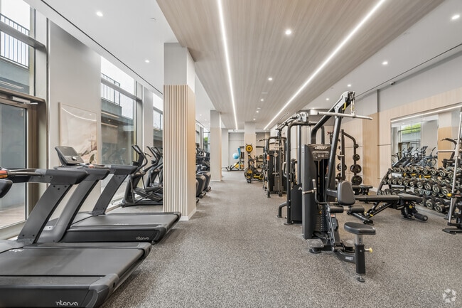 Ground Floor - Gym