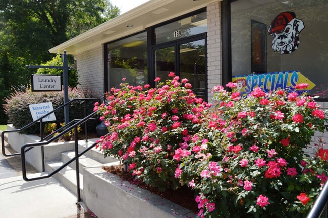 Photo - University Garden