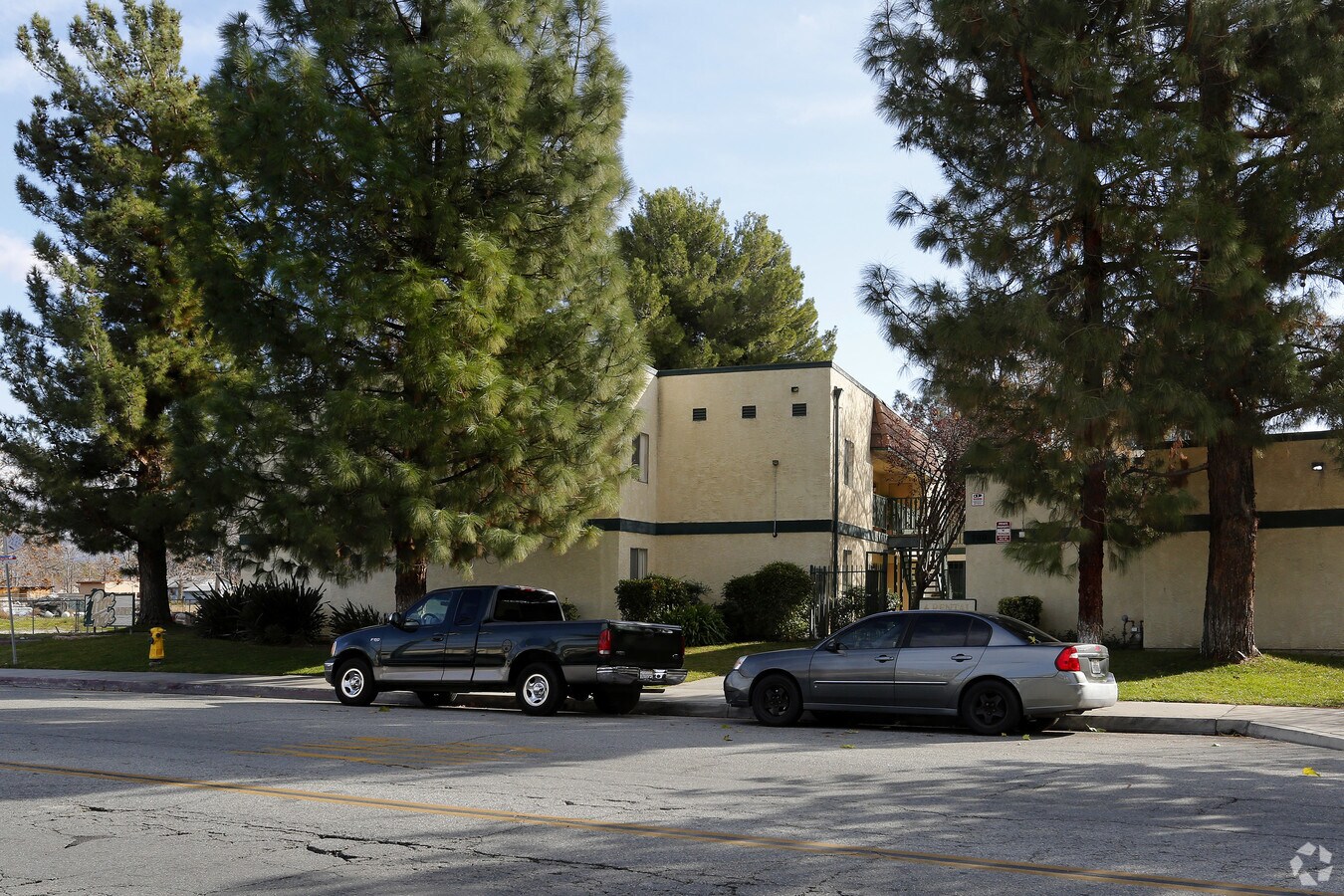 Pine Tree Apartments - Pine Tree Apartments