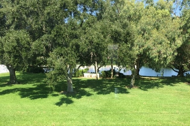 View from Living room - 4550 Overlook Dr NE Unit 000