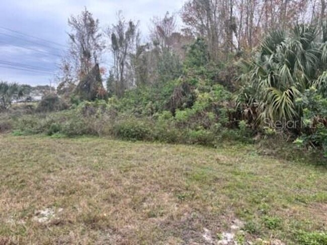 Photo - Orlando Rental