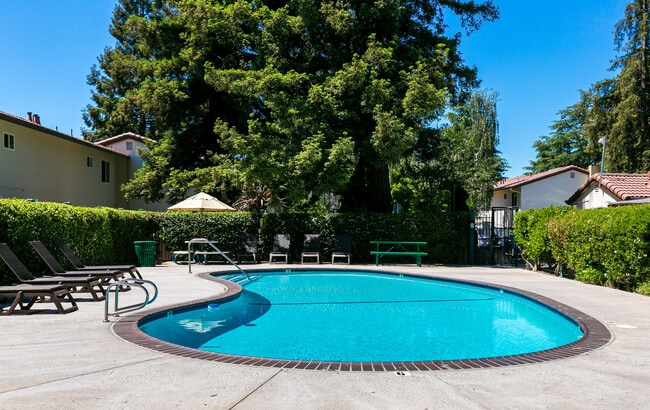 Photo - Dry Creek Apartments