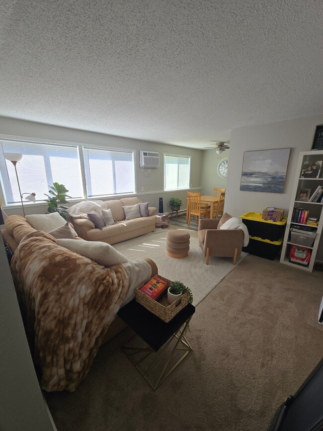 Photo - 9080 County Road 50