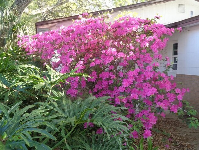 Photo - 799 E 10th Ave