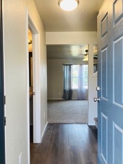 Photo - 13513 Palm Beach Dr