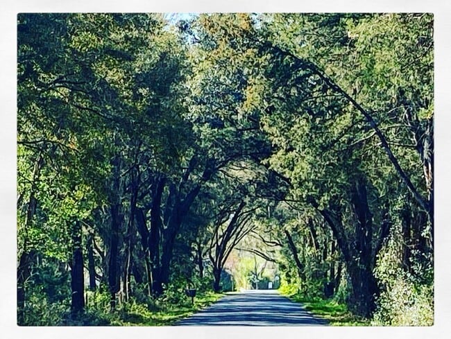 Photo - 9350 SE 170th Avenue Rd